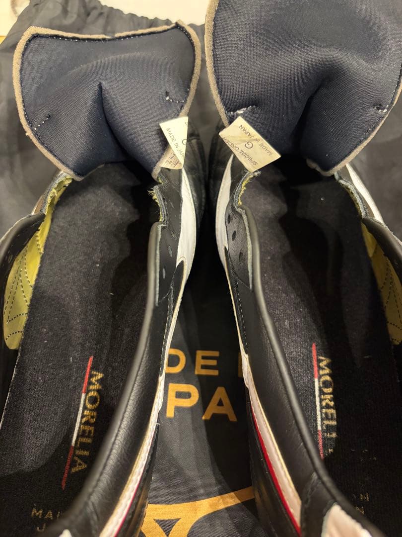 モレリア2 クロスステッチ　25 25.0