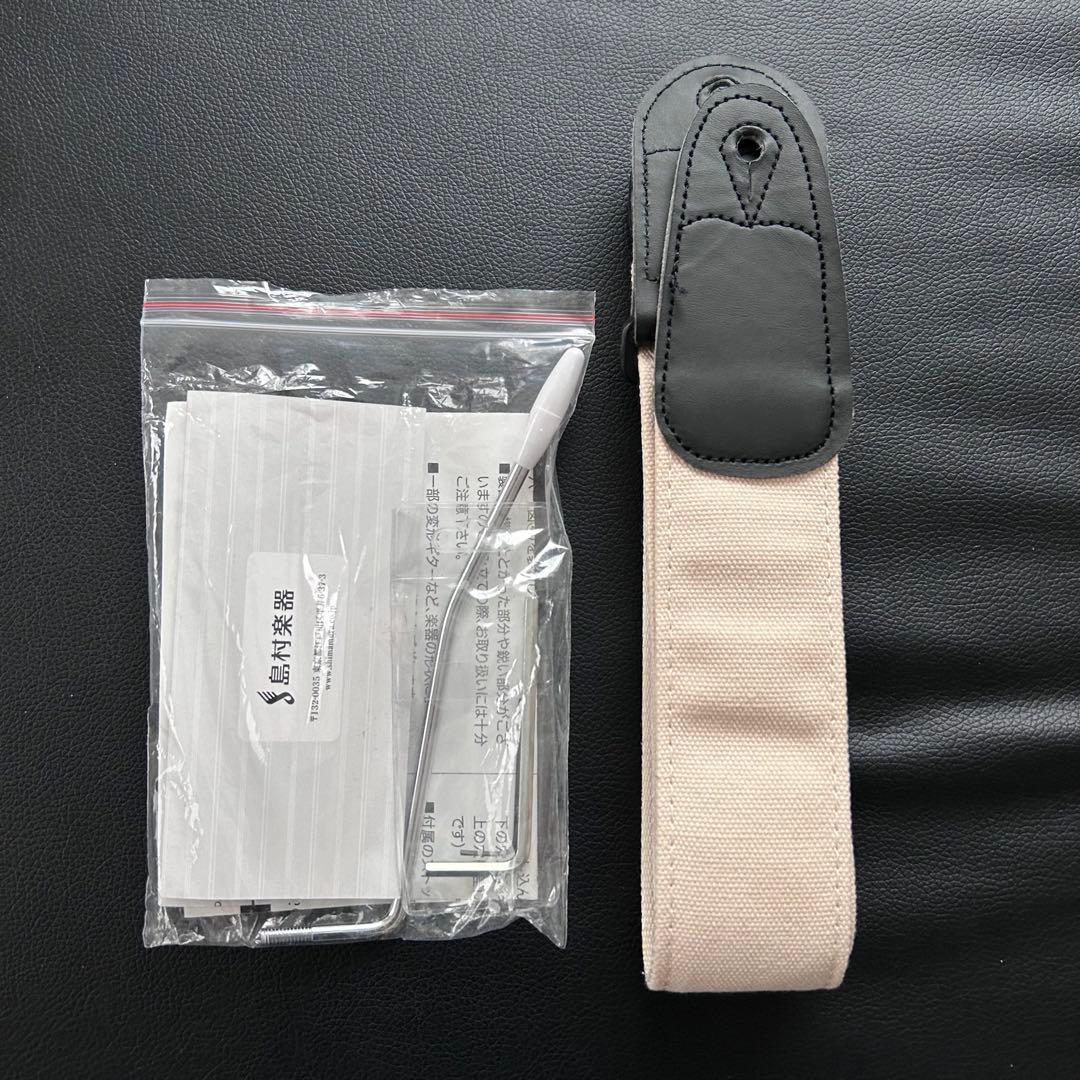 【初心者におすすめ】【大阪 手渡し限定】BUSKER'S エレキギター