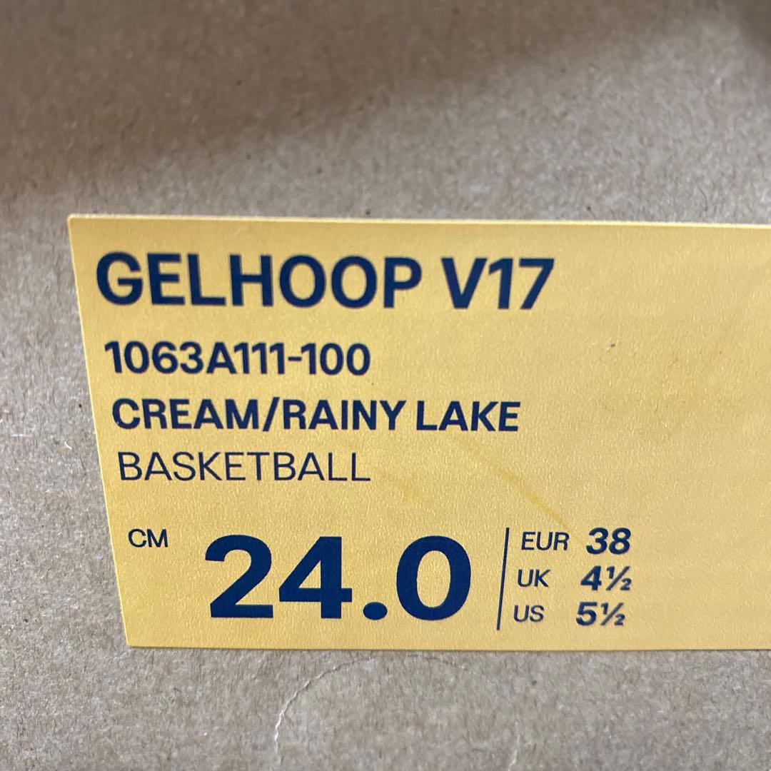 asics GELHOOP v17 アシックス ゲルフープ バッシュ 24cm