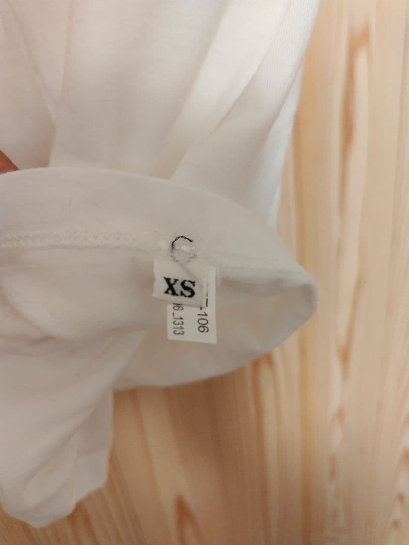 andymori アンディモリ バンドロゴ Tシャツ(white) XSサイズ