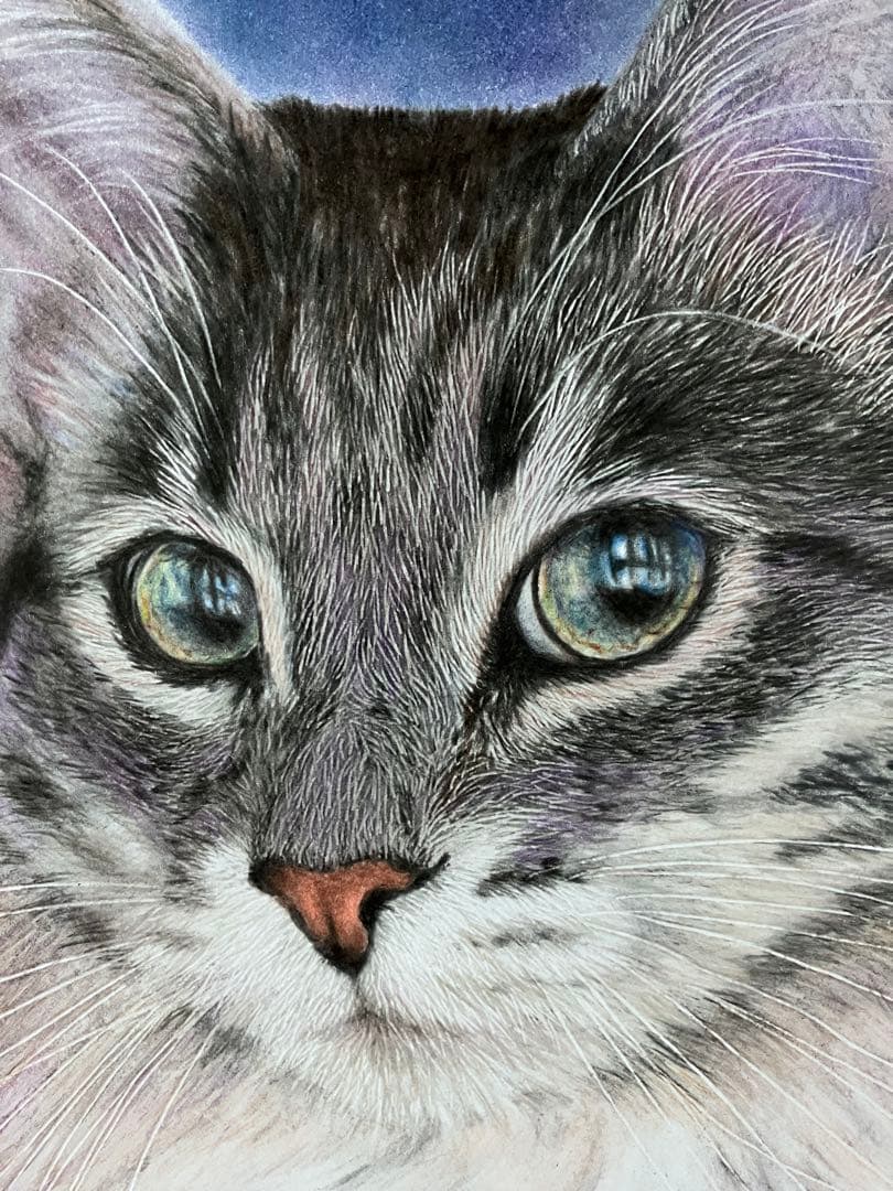 気高き猫 色鉛筆画 パステル