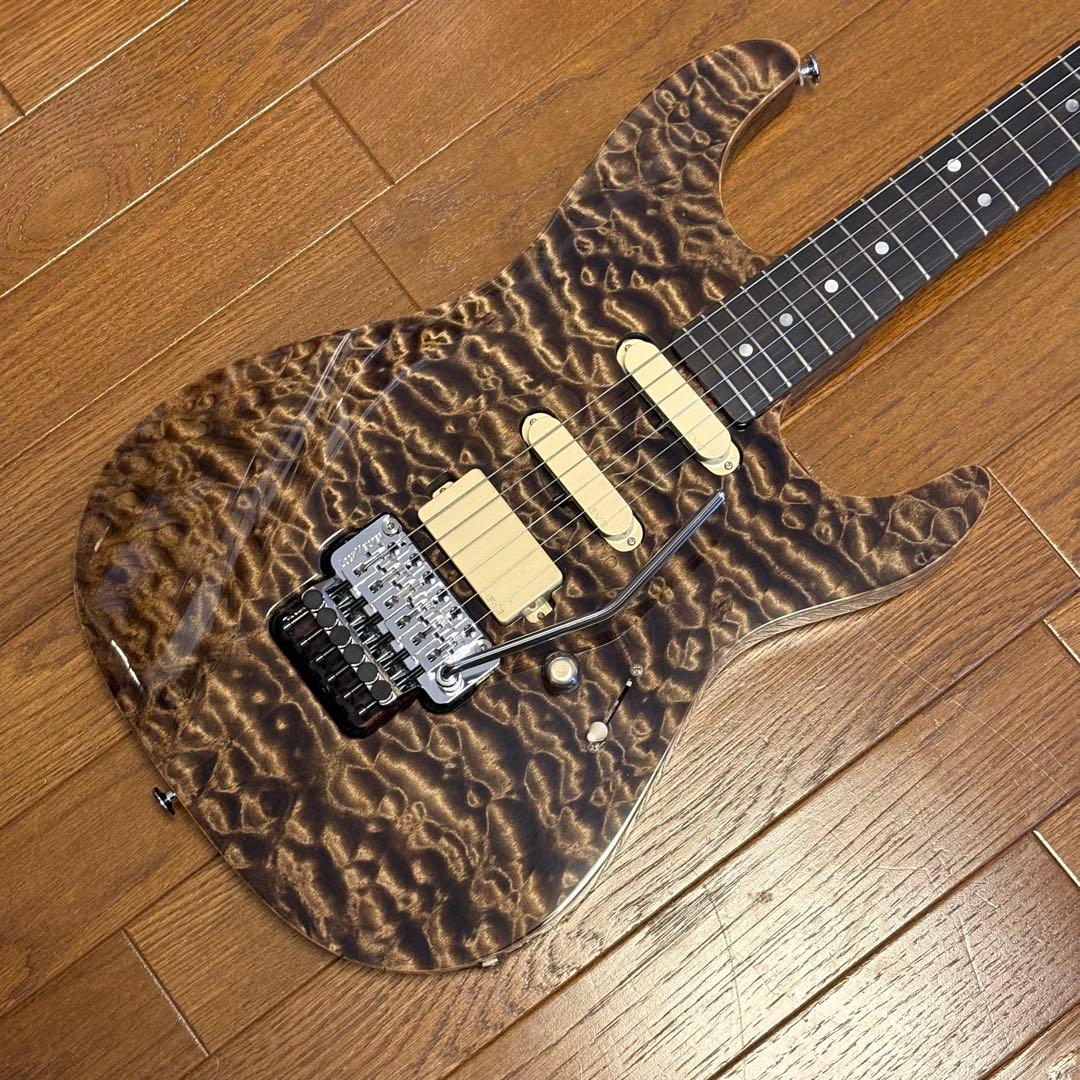 ギター Valley Arts Japan Custom Pro SRE270