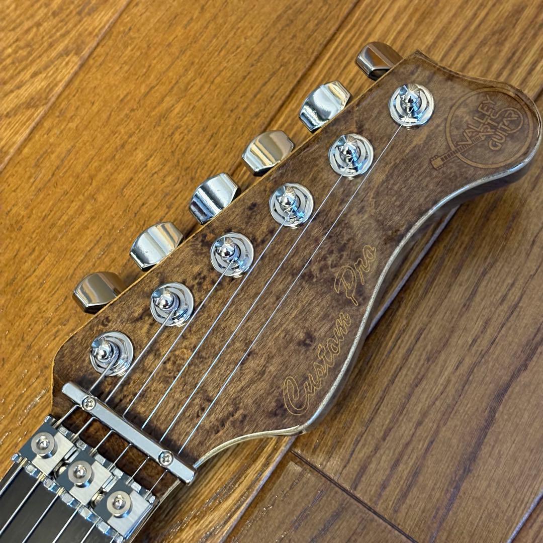 ギター Valley Arts Japan Custom Pro SRE270