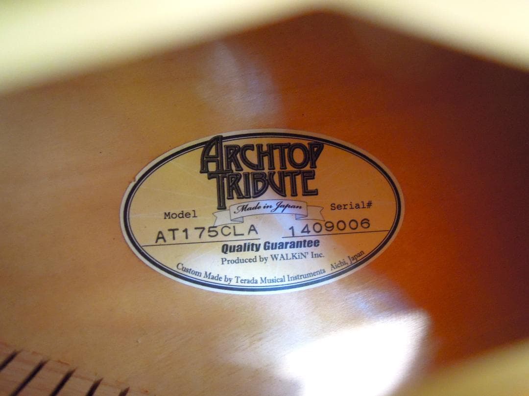 アーチトップ　トリビュート　AT175 Classic Advance フルアコ