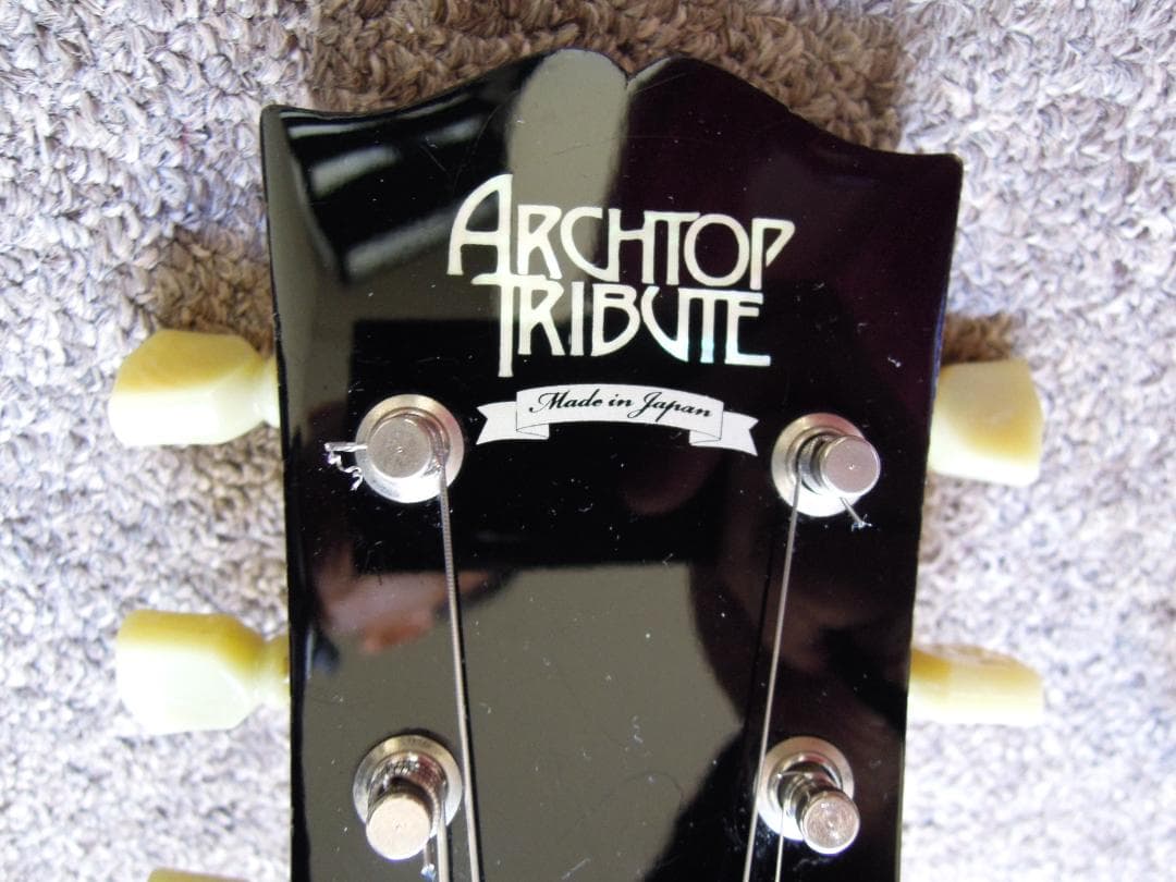 アーチトップ　トリビュート　AT175 Classic Advance フルアコ