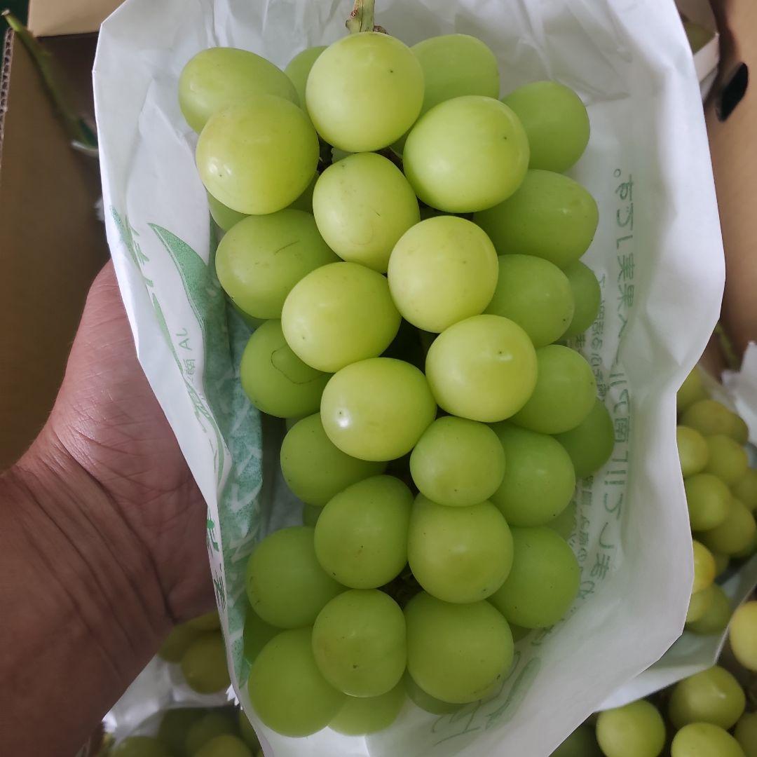 0️⃣4️⃣ 山梨県産 シャインマスカット８房入り 箱込み5.6キロ