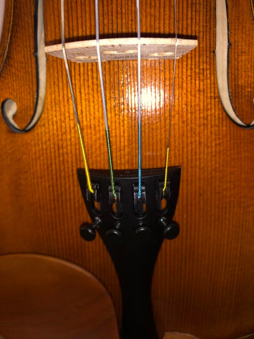 4/4 バイオリンNicolo Santi NSN50/S1 Cuore