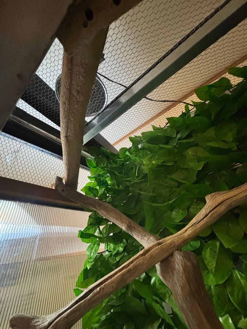 大型爬虫類　中古自作飼育ケージ　運搬可能エリア有り