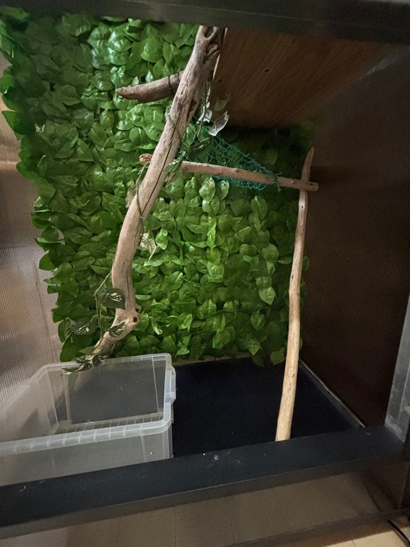 大型爬虫類　中古自作飼育ケージ　運搬可能エリア有り