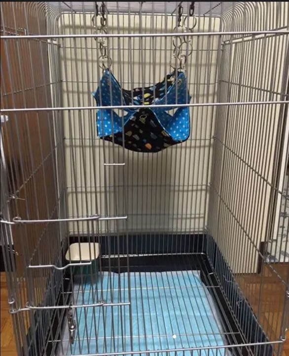 モモンガハウス(足跡柄グリーン)  春(冬)秋仕様  1750円