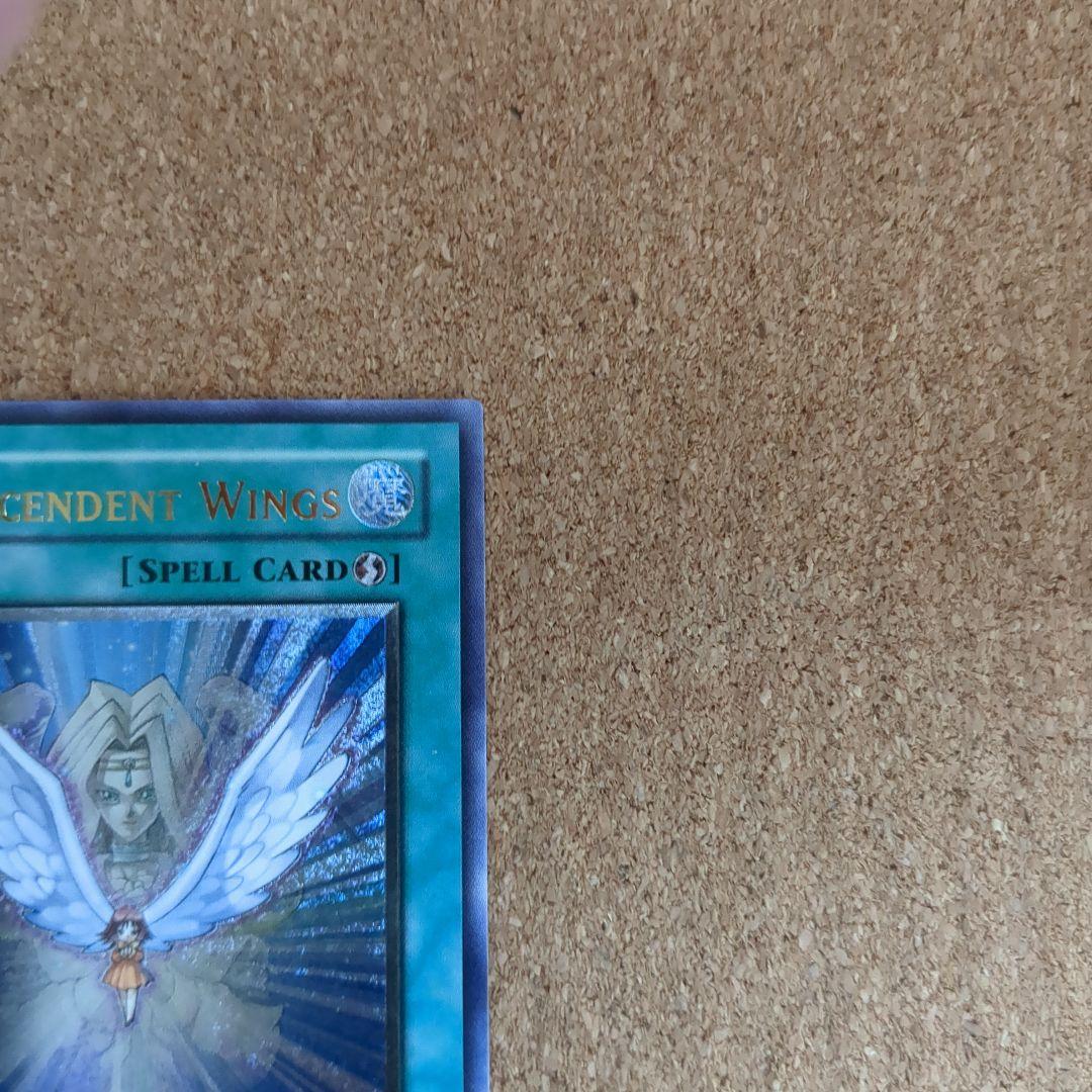 遊戯王♦️絶版旧アジア1st　進化する翼レリーフ