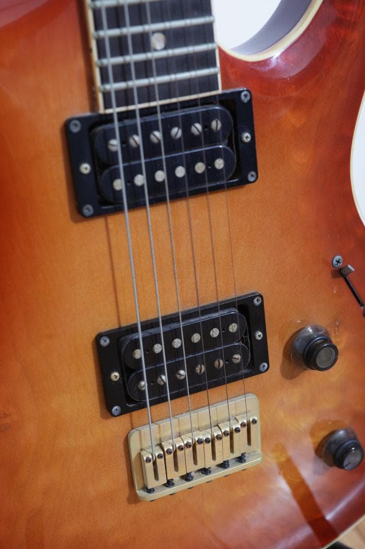 HeartField ELAN EL-I（専用ソフトケース付き）