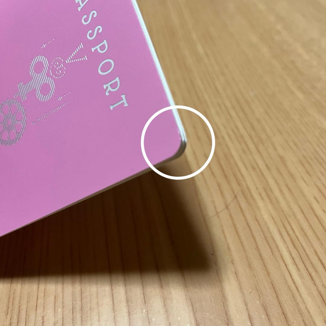 スキズ　SKZOO テディベアぬいぐるみ　トゥエッキ　チャンビン