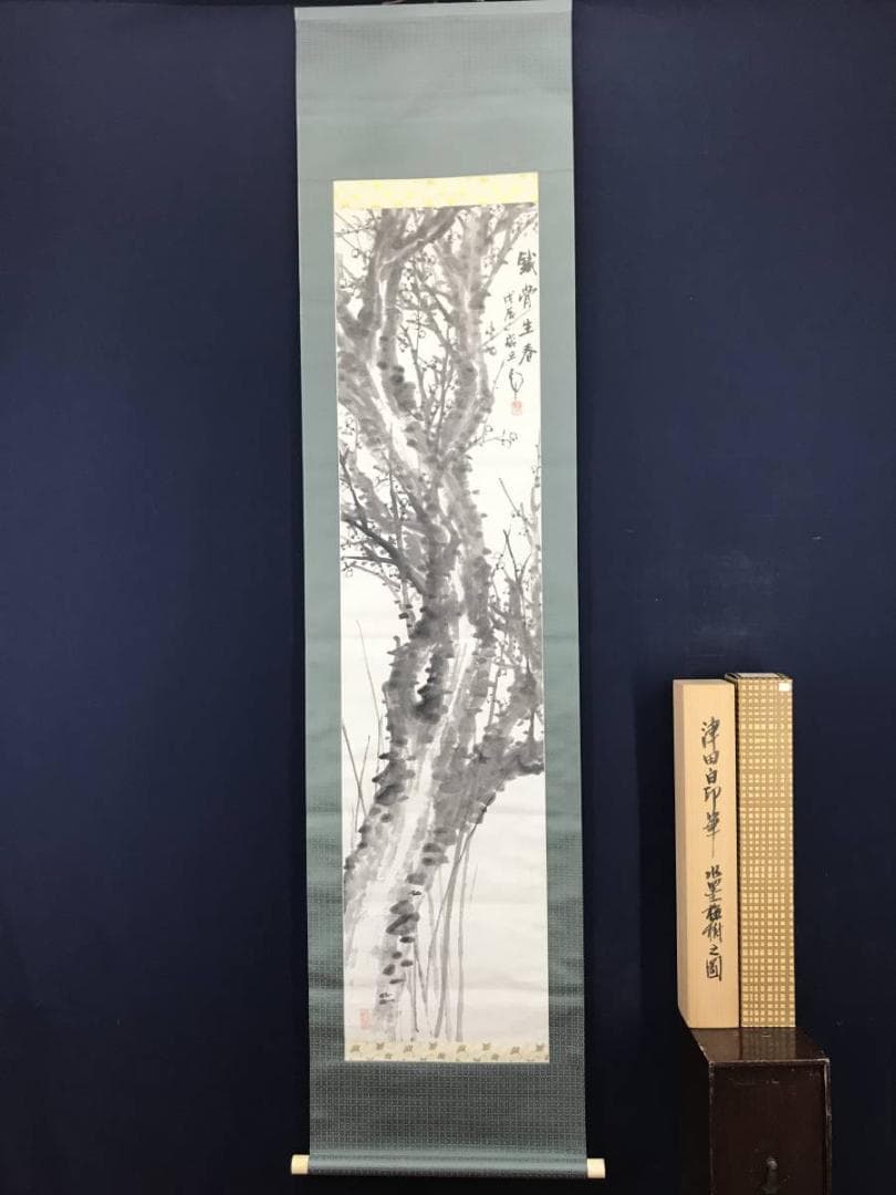 【真作】津田白印/梅花図/梅図/掛軸/名家伝来/AB-949