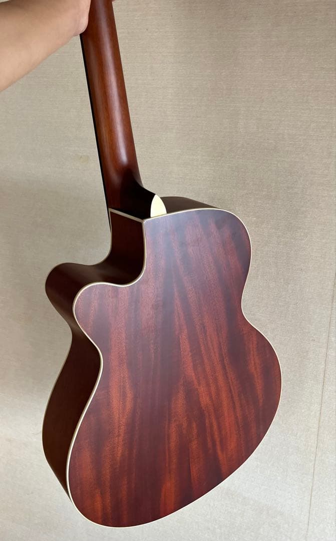 ARIA エレアコ FET-R1