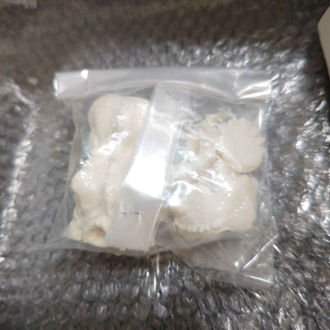 イマージュ　ゴジラ対ヘドラ　富士山麓の闘い　ガレージキット　未組立