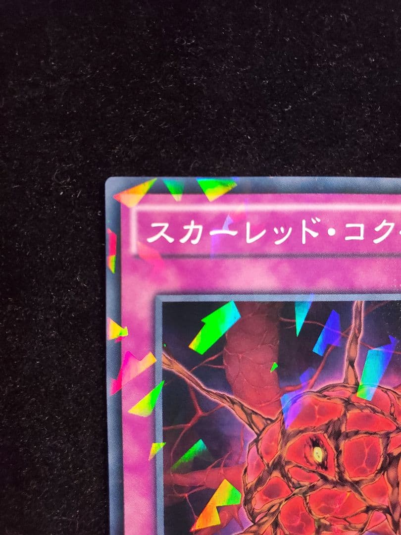 希少【SAMPLE表記】遊戯王　スカーレッド・コクーン（SPHR-JP026）