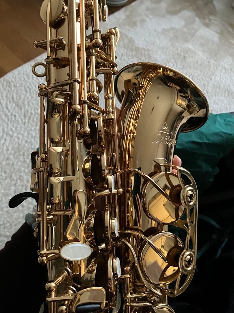 【気まぐれ値下げ】Antigua アンティグア 3100アルトサックス