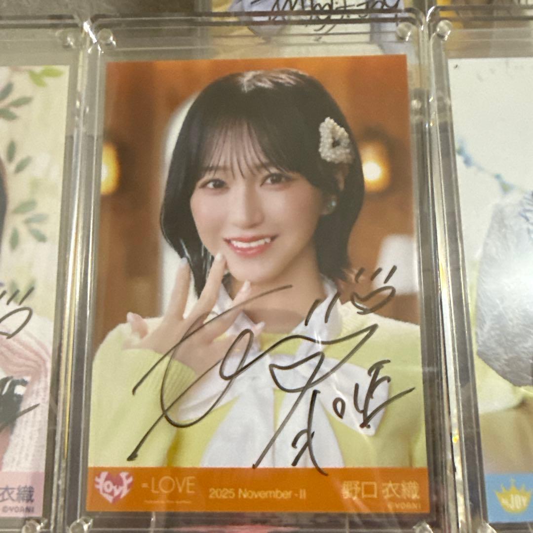 野口衣織 直筆写真 木漏れ日メゾフォルテ