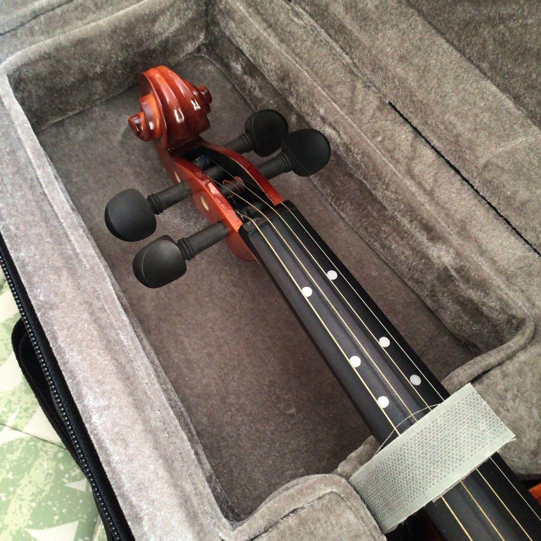 Eastarバイオリン 4/4 単板 ソリッド バイオリンセット 本体