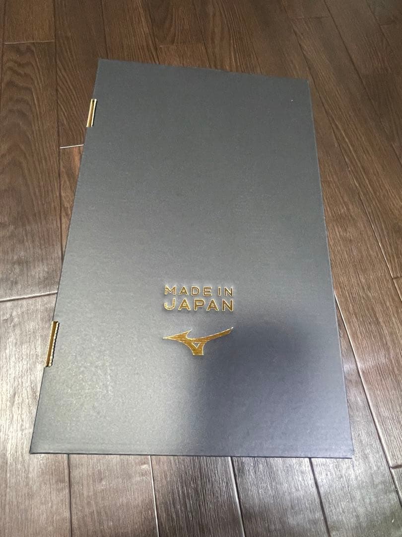 モレリア NEO IV JAPAN P1GA253004 28cm