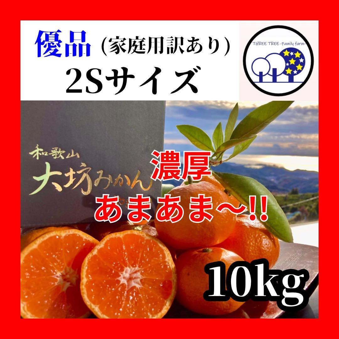 温州みかん 樹熟大坊みかん 優品(家庭用傷あり)2Sサイズ10kg