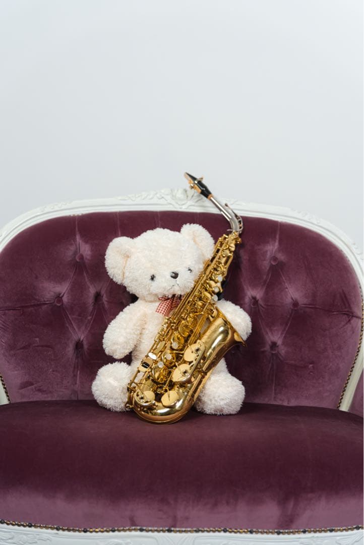 【セルマー シリーズⅢ アルトサックス ネック((プラチナメッキ))激レア】