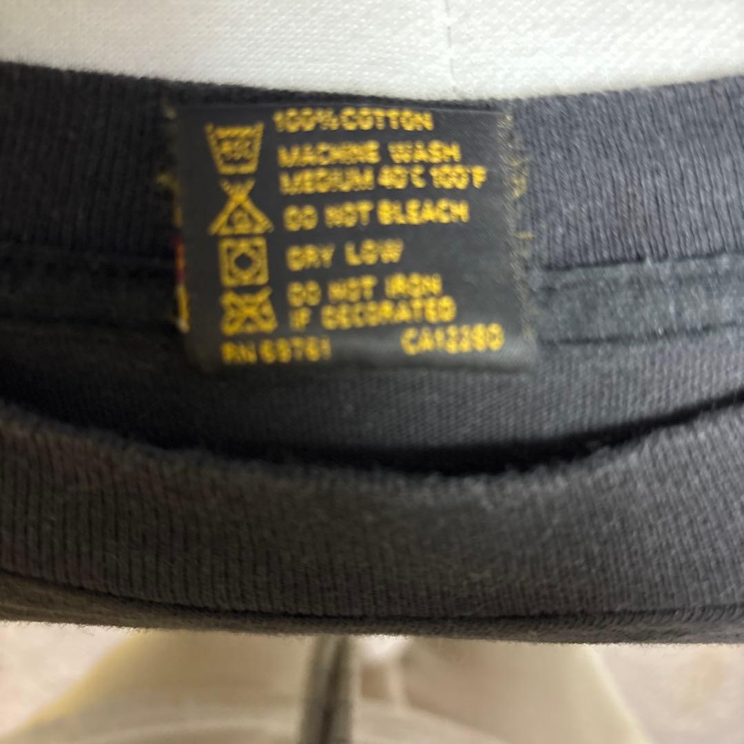 ストーンズHoodoo Voodoo Live Tシャツ 1995年製 Lサイズ