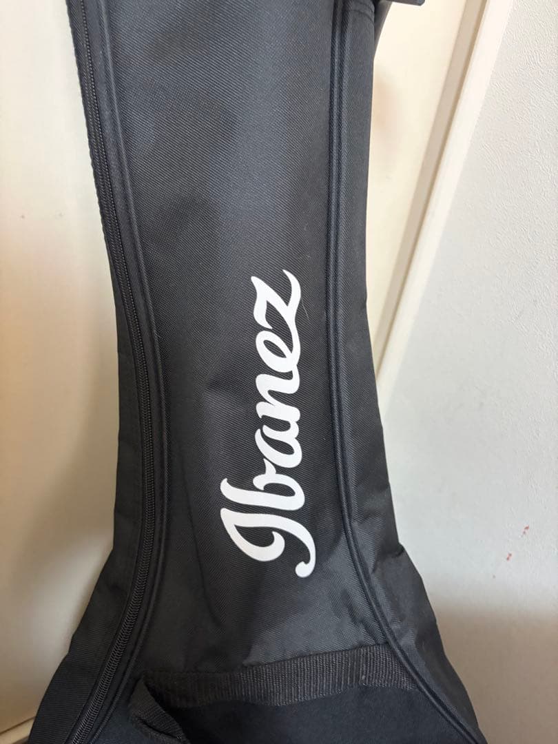 そ*様 Ibanez TOD10N Tim Henson Polyphia 右利