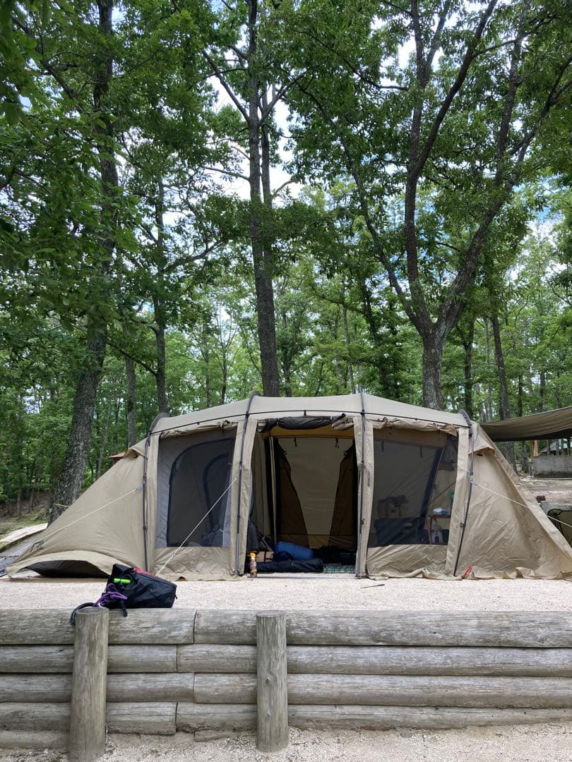 サバティカル　アルニカ