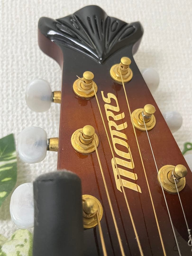 Morris モーリスTR701☆エレアコ オベーション タイプ Ovation