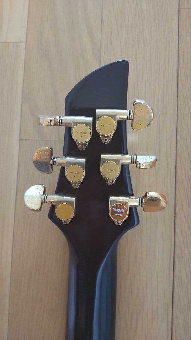 FERNANDES　APG-100 24F【レア】