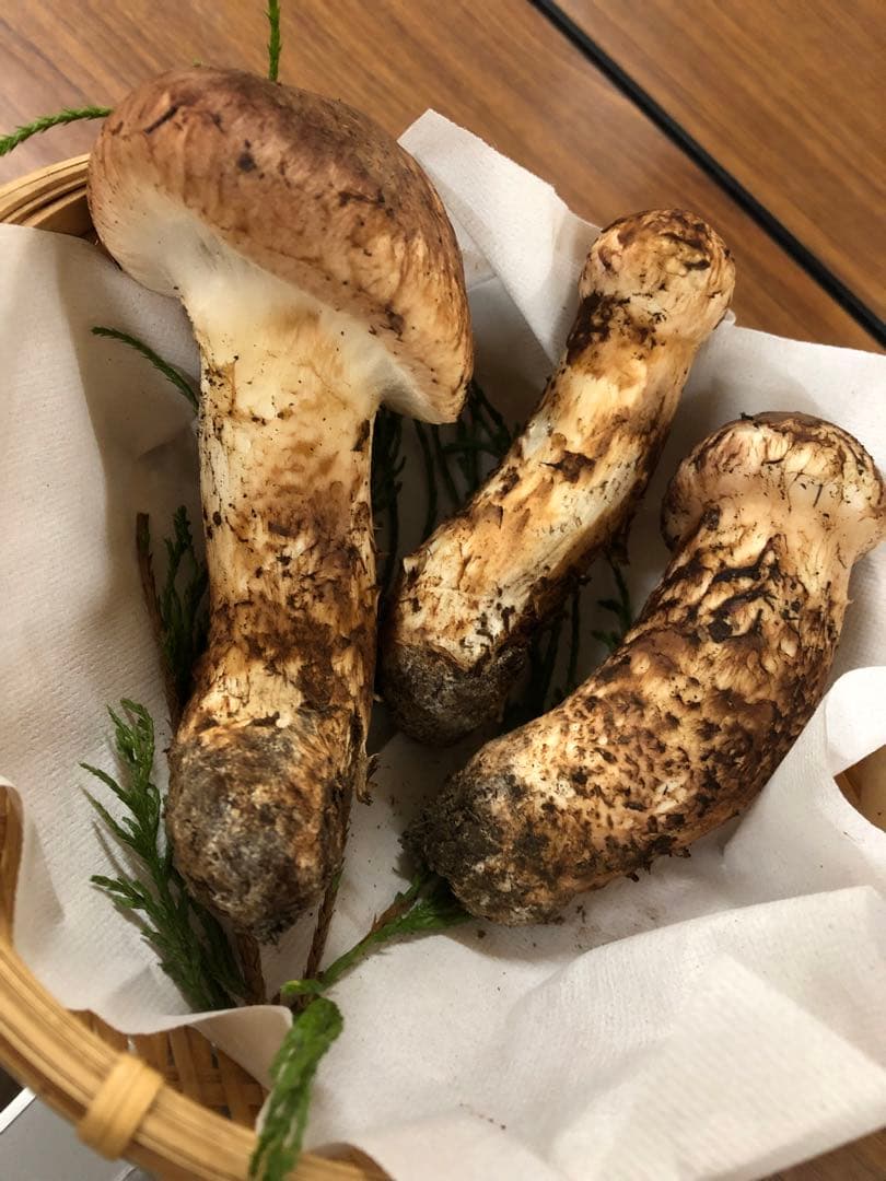 岩手県産　上物天然松茸（251.5g）