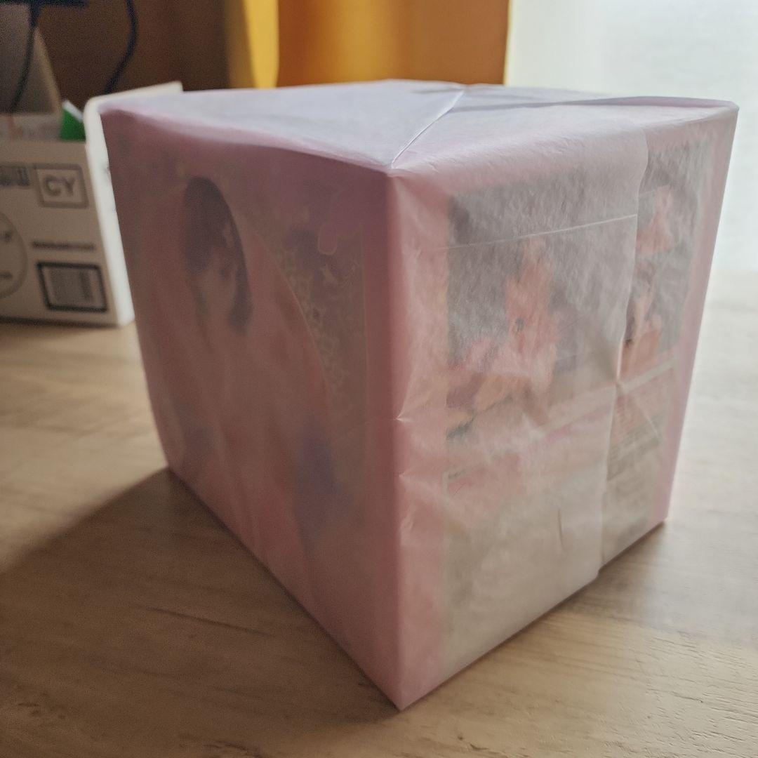 【新品未開封品】ライザ ネグリジェVer フィギュア