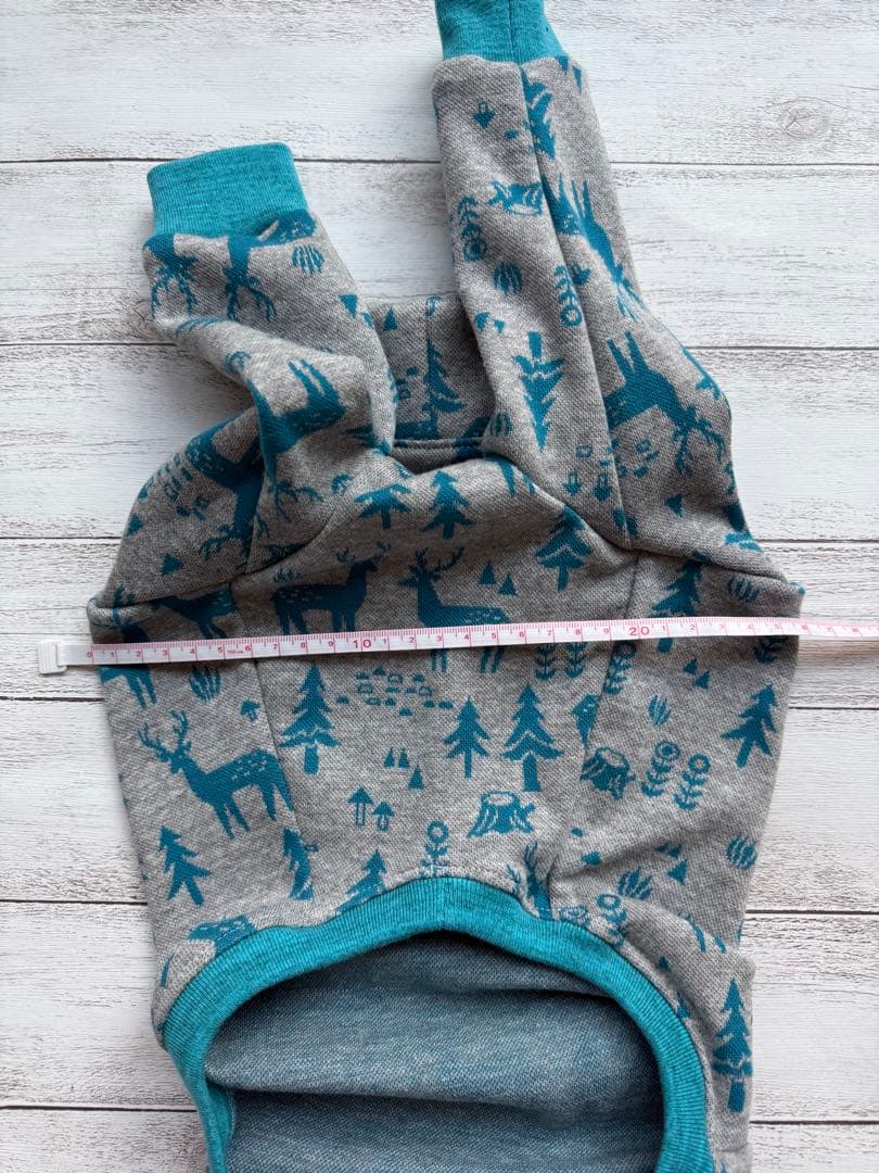 イタグレちゃん