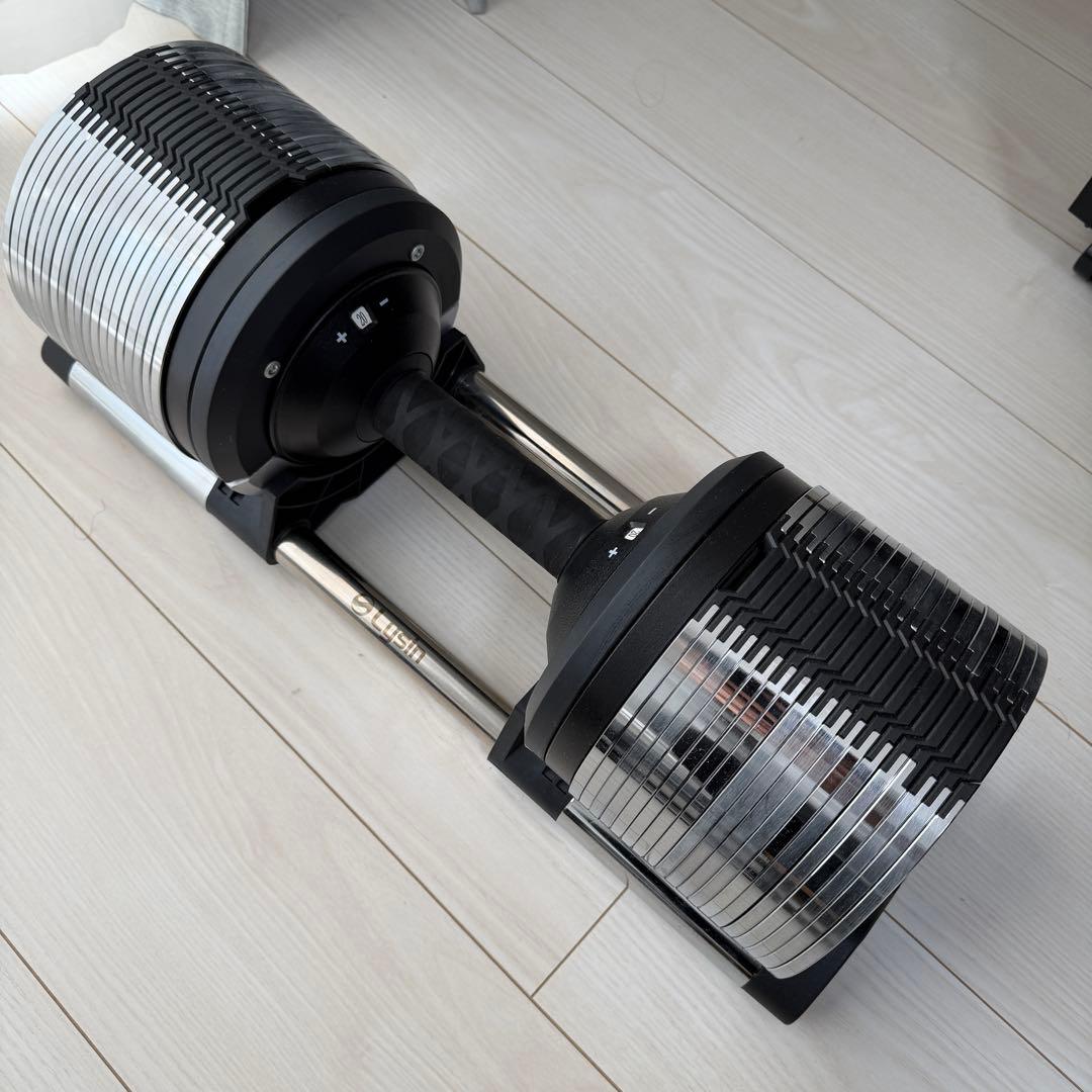 HelixMirror（ヘリックスミラー） 40kg 1個 ライシン