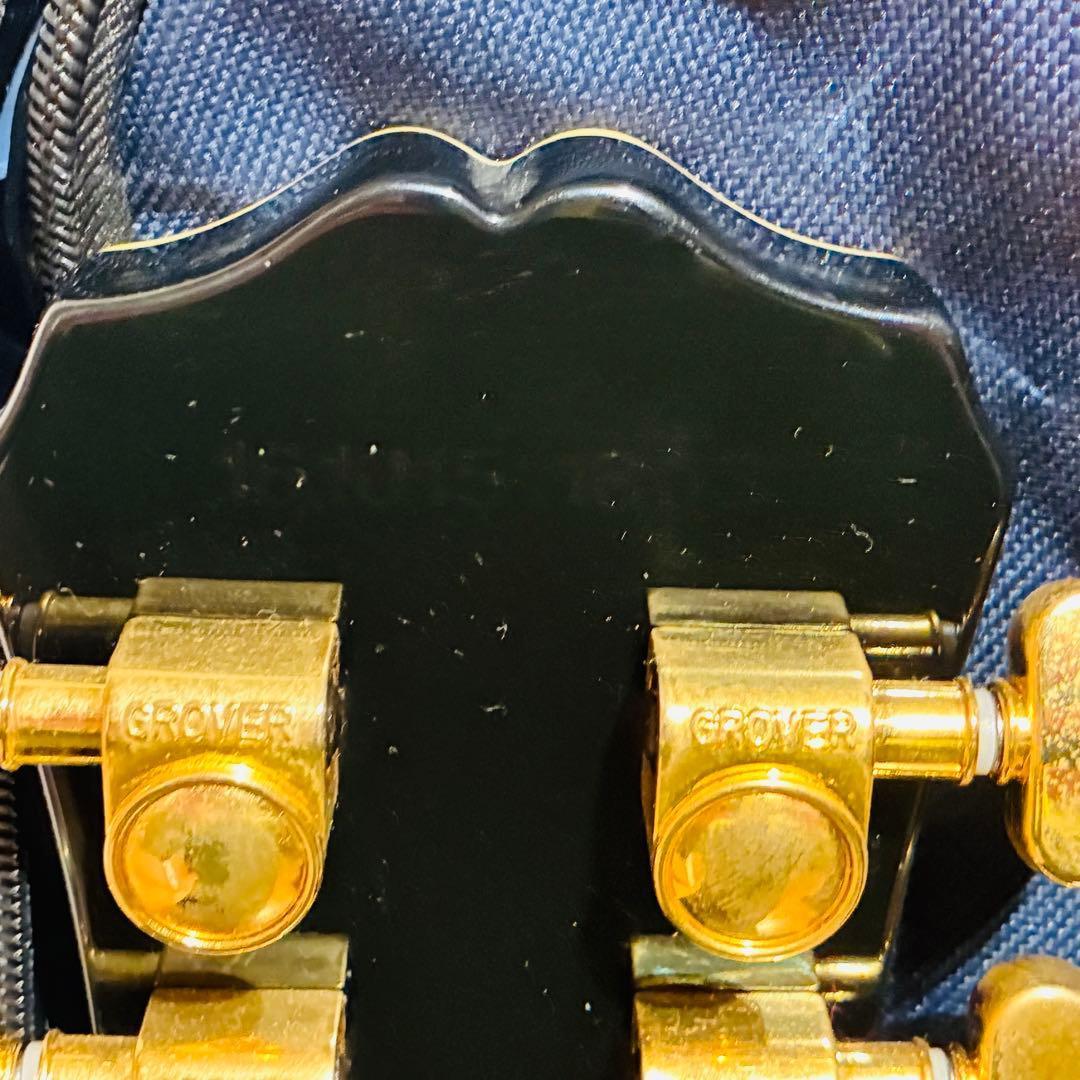 Epiphone Les Paul CUSTOM PRO 【動作確認済み】