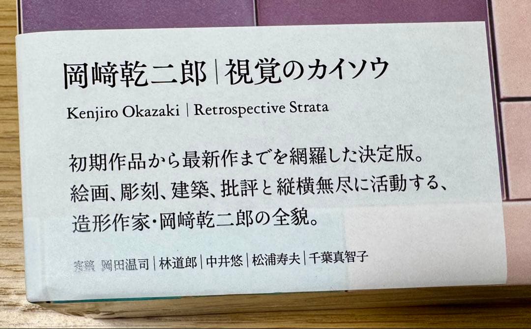 最終価格：岡崎乾二郎 視覚のカイソウ サイン入り特典版
