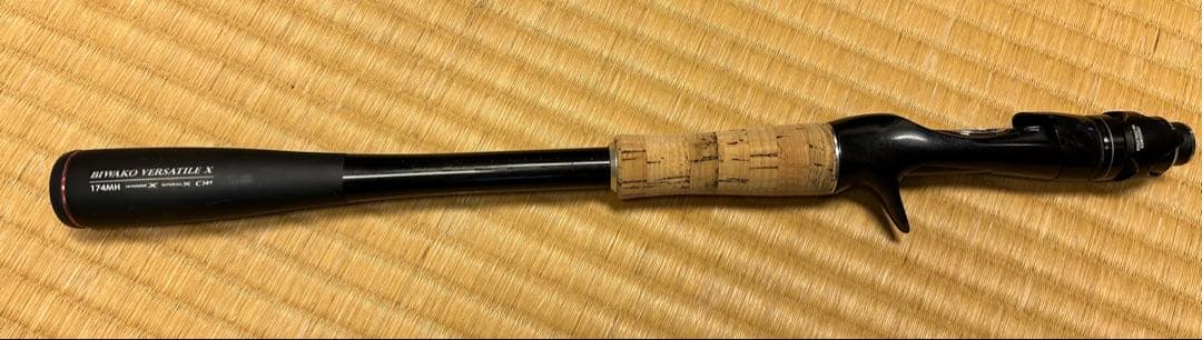 ロッド POISON GLORIOUS BIWAKO VERSATILE X 174MH