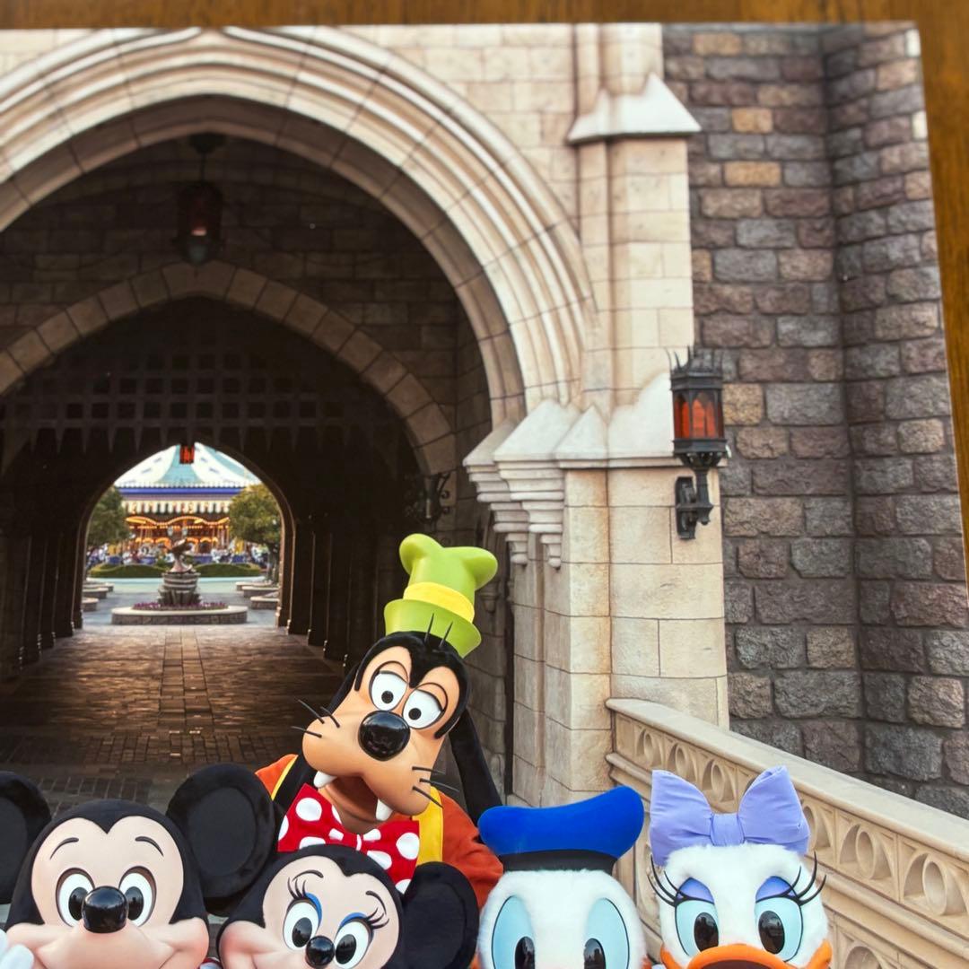 イマジニングザマジック　実写　フォトパネル　ポスター　額入り　送料込み　匿名配送