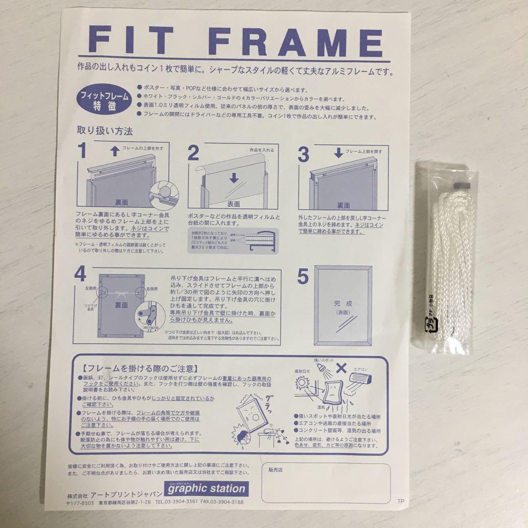 イマジニングザマジック　実写　フォトパネル　ポスター　額入り　送料込み　匿名配送