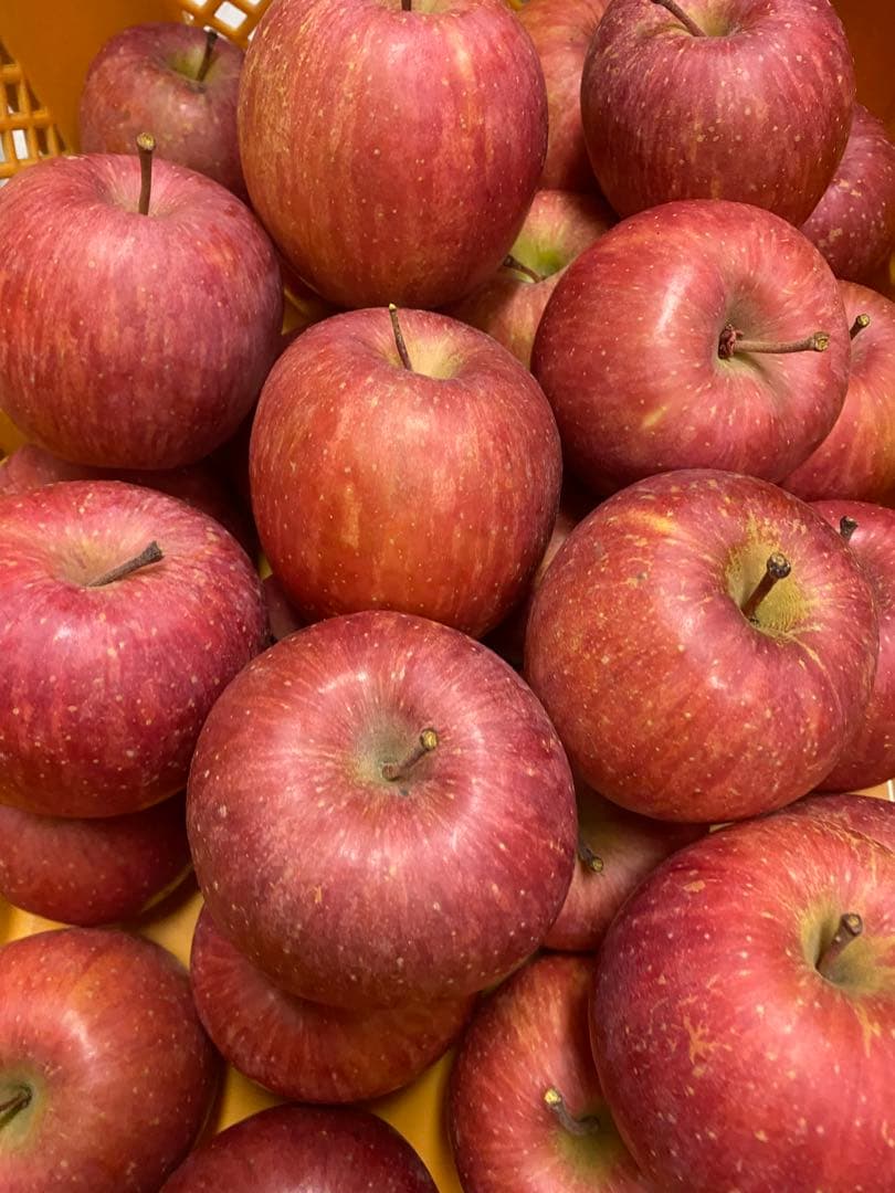 山形県産　厳選サンふじ3kg ３箱同梱その①