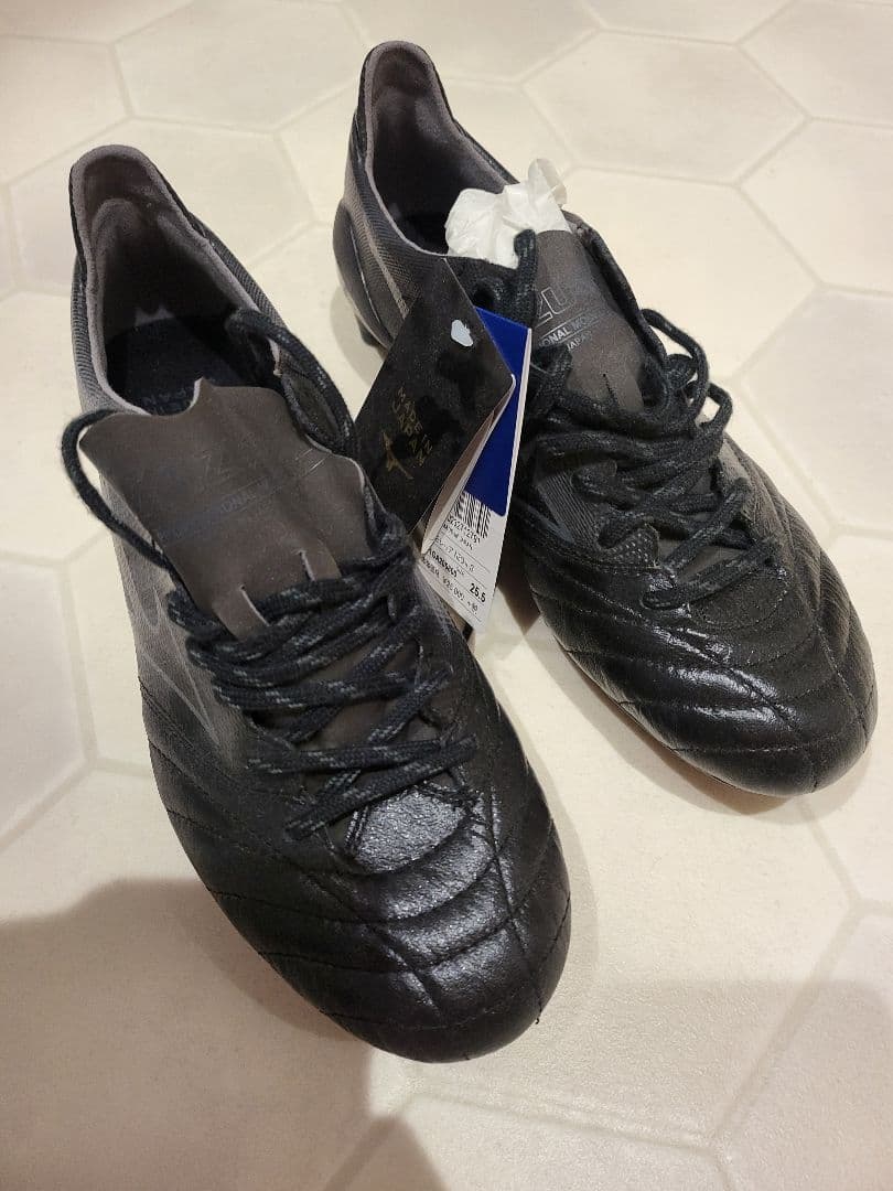 モレリアネオⅡβ