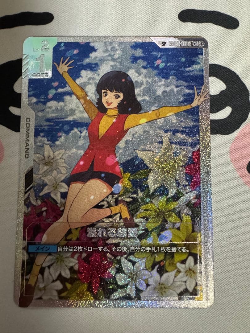 ガンダム　溢れる慈愛　SP