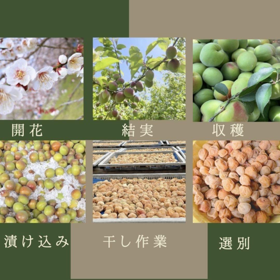 【訳あり】はちみつ梅干し1kg×3個　紀州南高梅 農家直送 和歌山県産