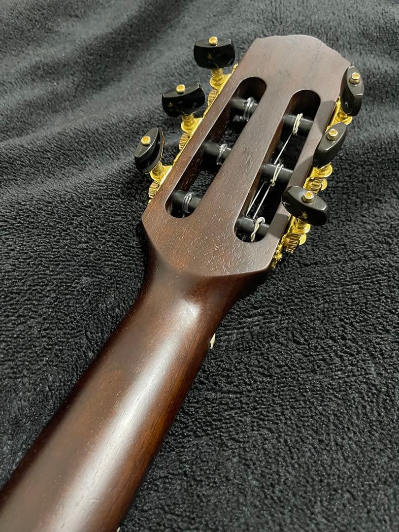 ノーブランド morris Groovin'タイプ サイレントソリッドエレガット