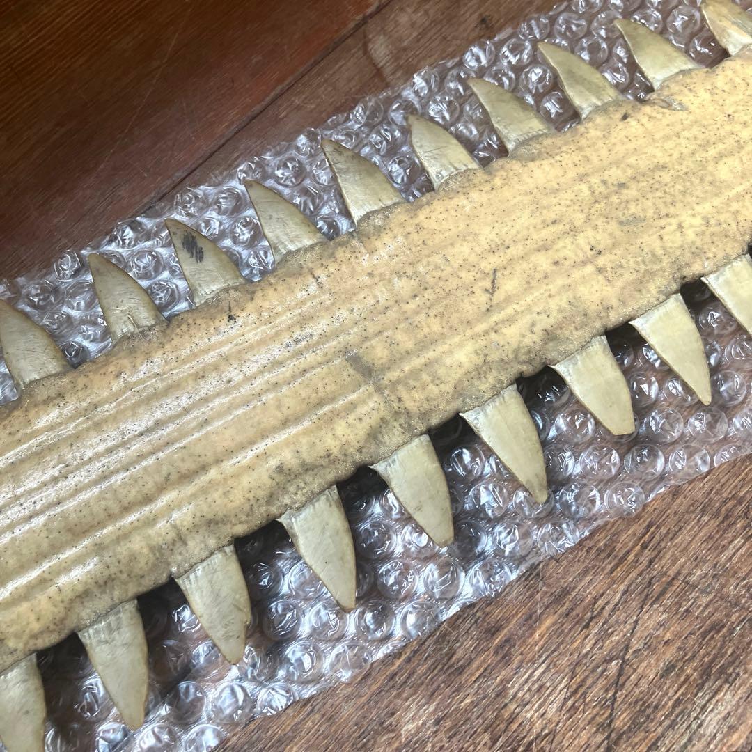 希少 ノコギリエイ 吻 全長約74cm 歯 博物 雑貨