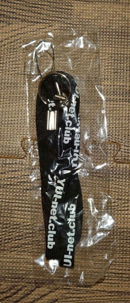 ベアブリック（BEAR BRICK）＆ストラップ　YUI ファンクラブ限定品！