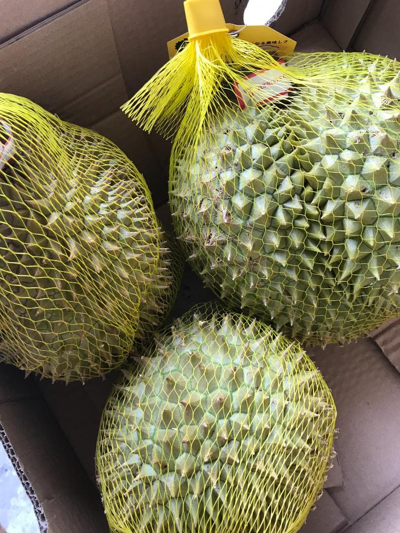 新鮮ドリアンセット割り(すぐ食べられる）10kg