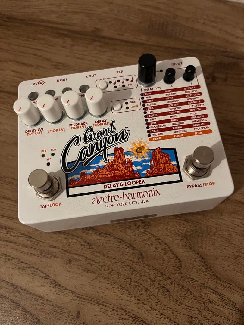 Electro-Harmonix Grand Canyon ディレイ &ルーパー